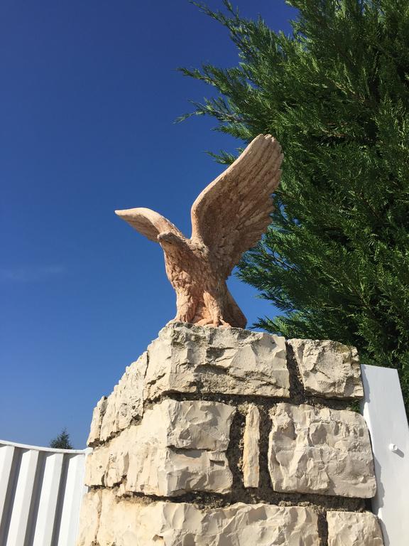 קסטל דל מונטה B&B Il Falco מראה חיצוני תמונה